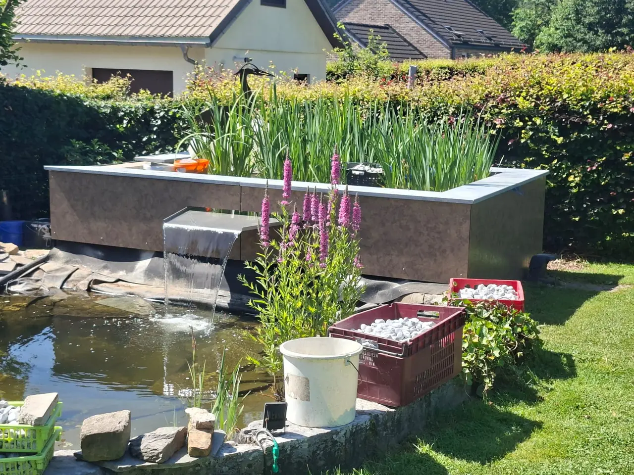 Bassin surélevé habillé de panneaux et plantes aquatiques